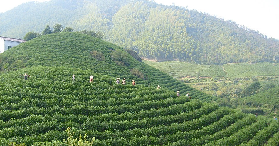 基地风采